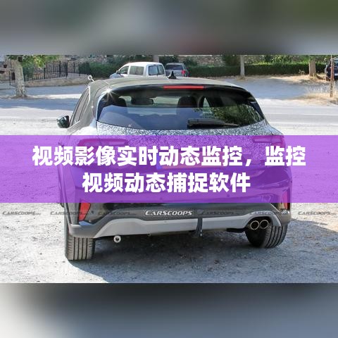 视频影像实时动态监控，监控视频动态捕捉软件 