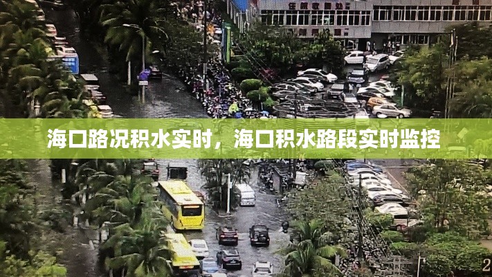 海口路况积水实时，海口积水路段实时监控 