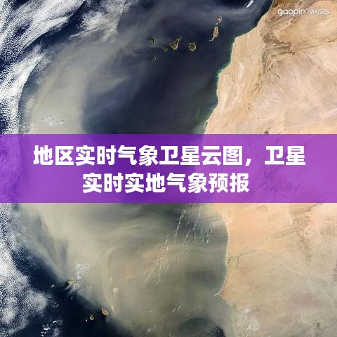 地区实时气象卫星云图，卫星实时实地气象预报 