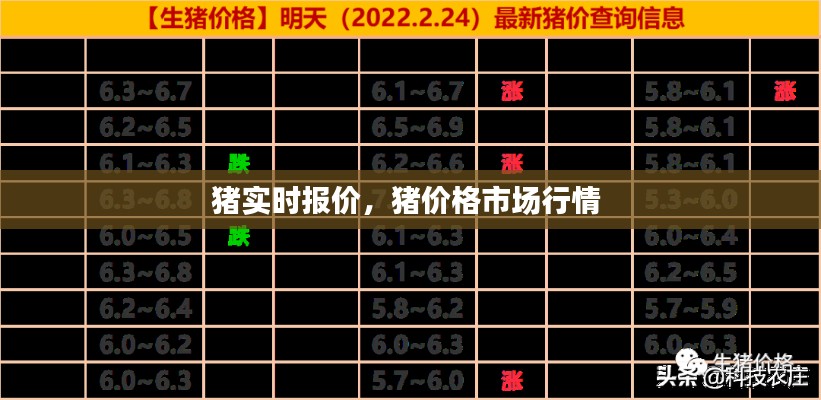 猪实时报价，猪价格市场行情 