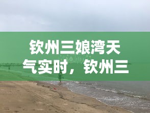 钦州三娘湾天气实时，钦州三娘天气预报 