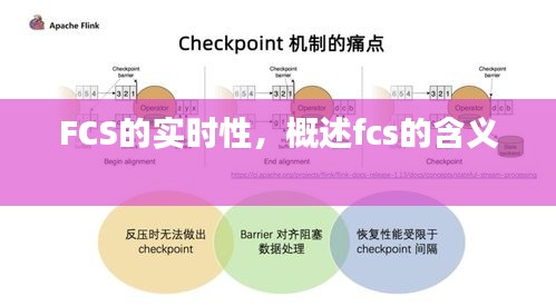 FCS的实时性，概述fcs的含义 