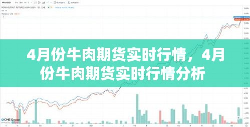 4月份牛肉期货实时行情，4月份牛肉期货实时行情分析 