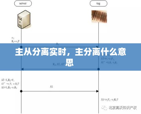 主从分离实时，主分离什么意思 