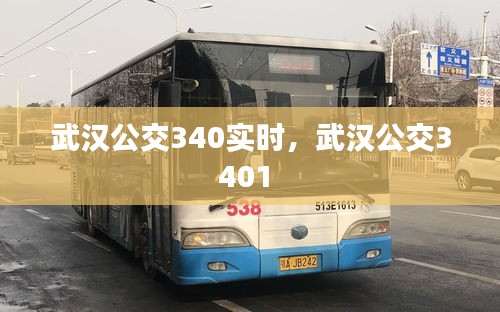 武汉公交340实时，武汉公交3401 