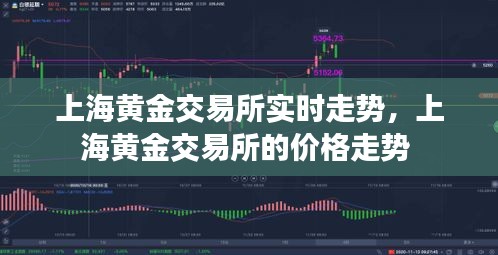 上海黄金交易所实时走势，上海黄金交易所的价格走势 