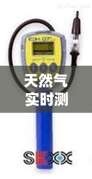 天然气实时测量方法视频，天然气检测仪量程 