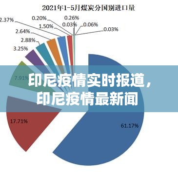 印尼疫情实时报道，印尼疫情最新闻 