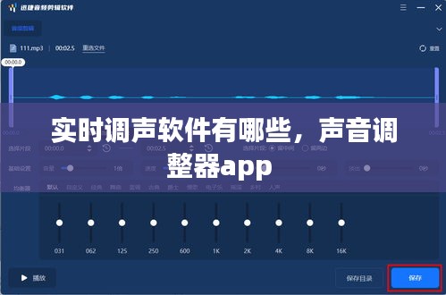 实时调声软件有哪些，声音调整器app 