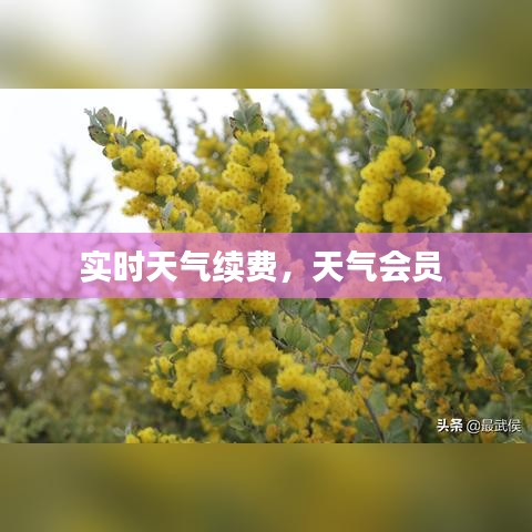 实时天气续费，天气会员 