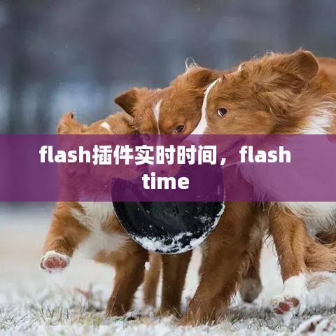 flash插件实时时间，flash time 