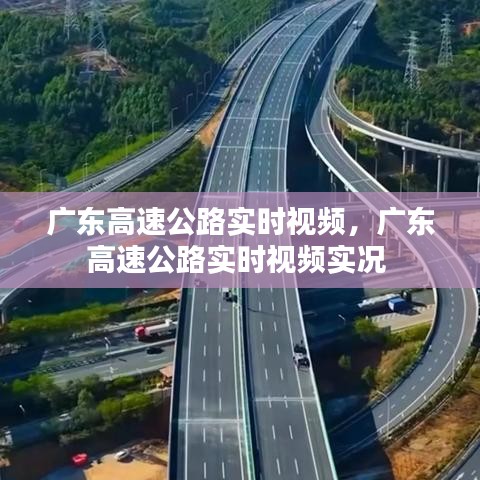 广东高速公路实时视频，广东高速公路实时视频实况 