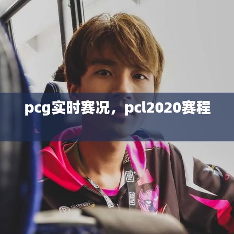 pcg实时赛况，pcl2020赛程 