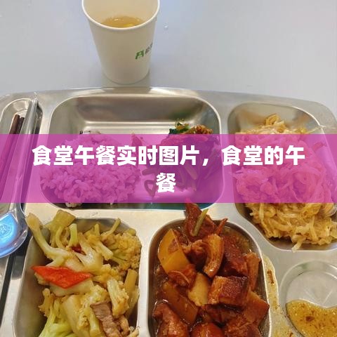 食堂午餐实时图片，食堂的午餐 