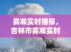 雾凇实时播报，吉林市雾凇实时播报 