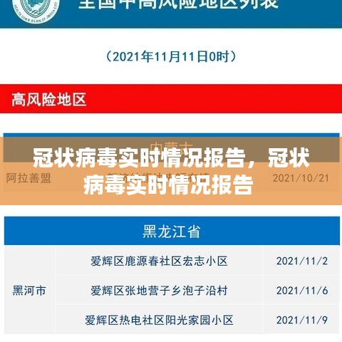 冠状病毒实时情况报告，冠状病毒实时情况报告 