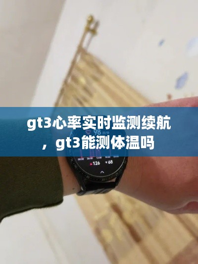 gt3心率实时监测续航，gt3能测体温吗 