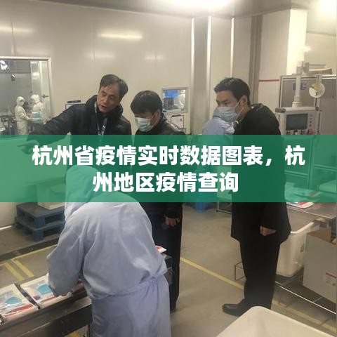 杭州省疫情实时数据图表，杭州地区疫情查询 