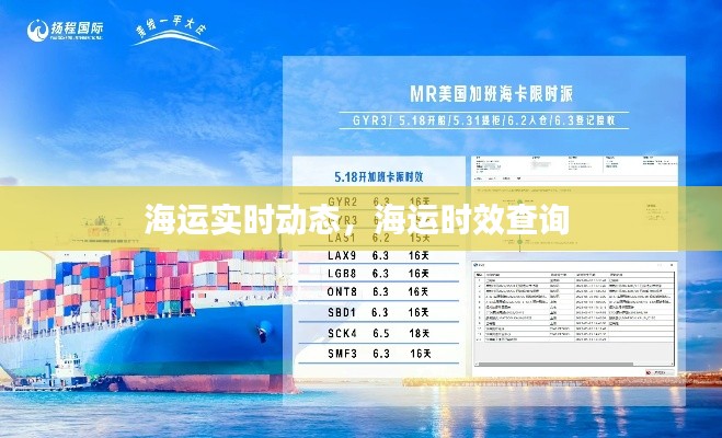 海运实时动态，海运时效查询 