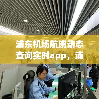 浦东机场航班动态查询实时app，浦东机场航班动态查询实时信息查询官网 