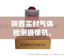 陕西实时气体检测摄像机，西安气体检测公司 