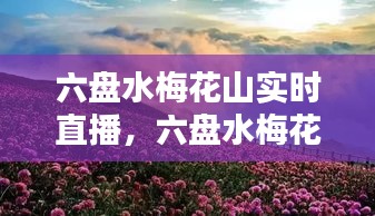 六盘水梅花山实时直播，六盘水梅花山景区全图 