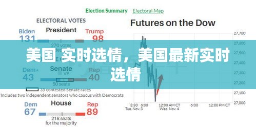 美国 实时选情，美国最新实时选情 