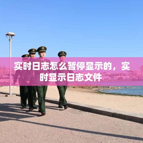 实时日志怎么暂停显示的，实时显示日志文件 