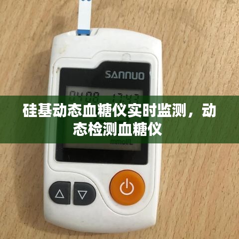 硅基动态血糖仪实时监测，动态检测血糖仪 