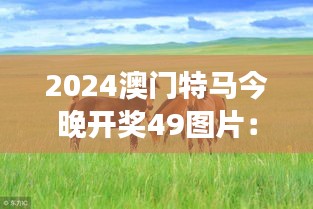 2024澳门特马今晚开奖49图片：马背上的荣耀与梦想