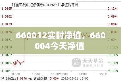 660012实时净值，660004今天净值 