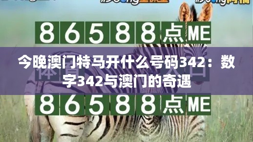 今晚澳门特马开什么号码342：数字342与澳门的奇遇