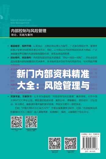 新门内部资料精准大全：风险管理与内部控制实务