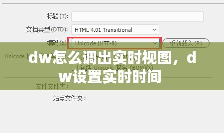 dw怎么调出实时视图，dw设置实时时间 