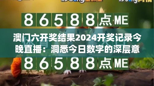 澳门六开奖结果2024开奖记录今晚直播：洞悉今日数字的深层意义