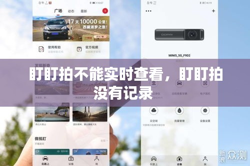 盯盯拍不能实时查看，盯盯拍没有记录 