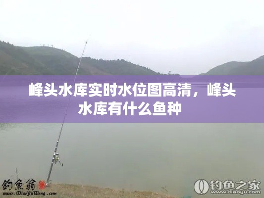 峰头水库实时水位图高清，峰头水库有什么鱼种 