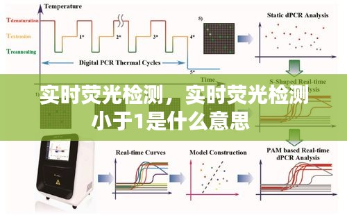 实时荧光检测，实时荧光检测小于1是什么意思 
