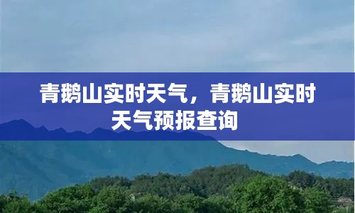 青鹅山实时天气，青鹅山实时天气预报查询 