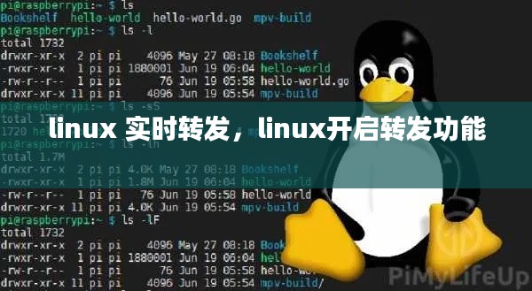 linux 实时转发，linux开启转发功能 