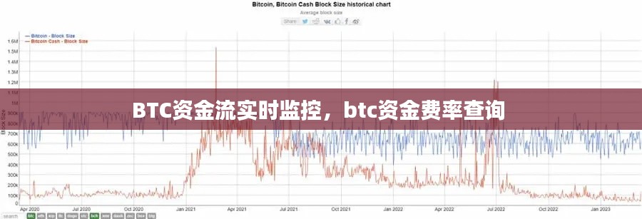 BTC资金流实时监控，btc资金费率查询 