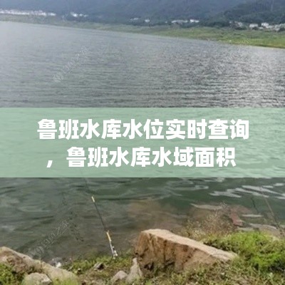 鲁班水库水位实时查询，鲁班水库水域面积 