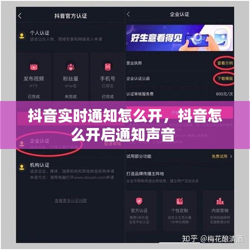 抖音实时通知怎么开，抖音怎么开启通知声音 