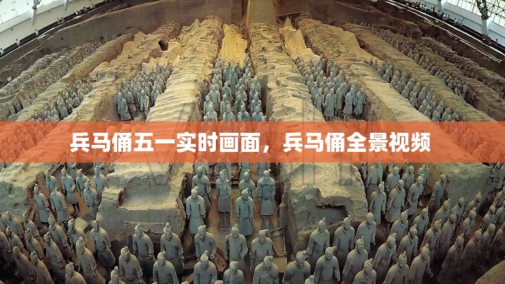 兵马俑五一实时画面，兵马俑全景视频 