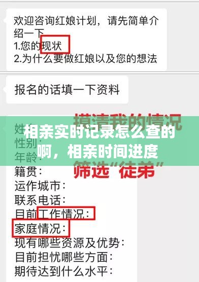 相亲实时记录怎么查的啊，相亲时间进度 
