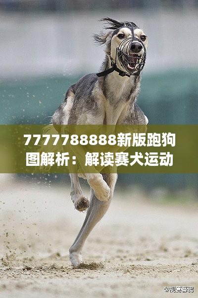 7777788888新版跑狗图解析：解读赛犬运动的最新趋势