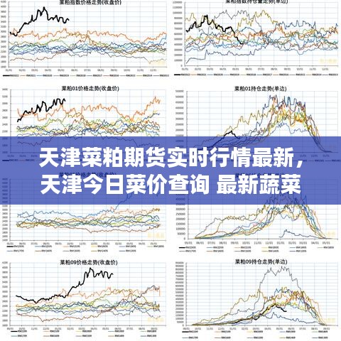 天津菜粕期货实时行情最新，天津今日菜价查询 最新蔬菜价格行情 