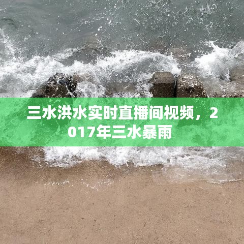 三水洪水实时直播间视频，2017年三水暴雨 