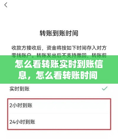 怎么看转账实时到账信息，怎么看转账时间 