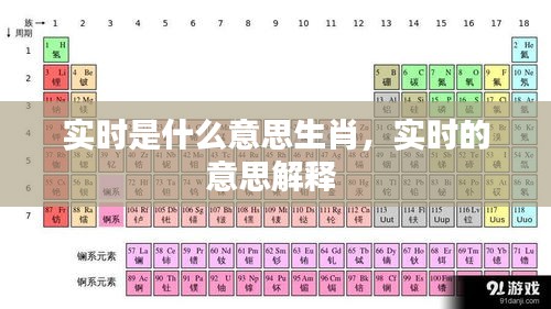 实时是什么意思生肖，实时的意思解释 